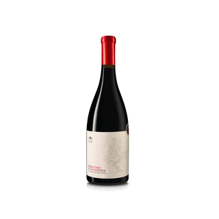 Vini di Puglia